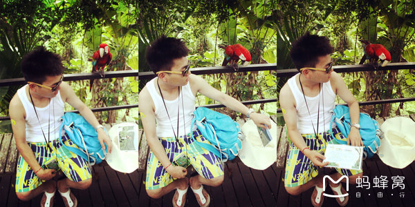 一起去三亚旅游就是最好的陪伴,三亚攻略自由行情侣