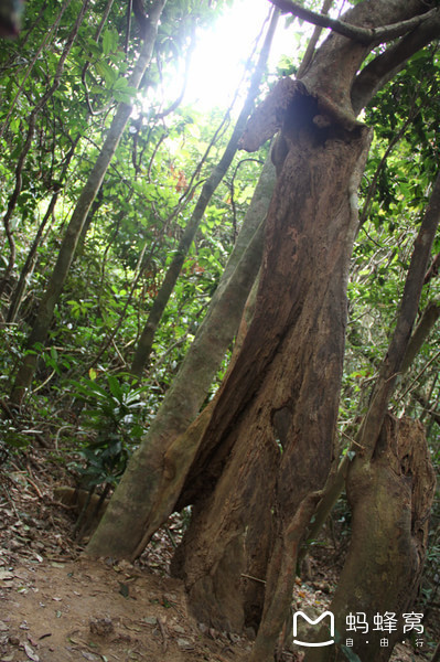 一起去三亚旅游就是最好的陪伴,三亚攻略自由行情侣