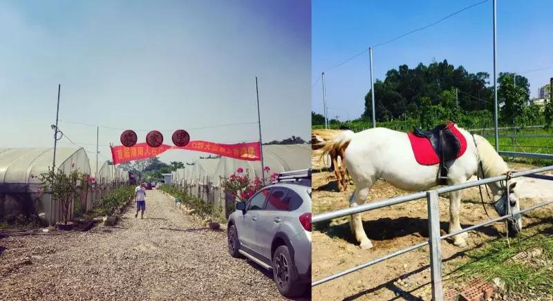 不一样的体验式农家乐,去体验不一样的民族风情