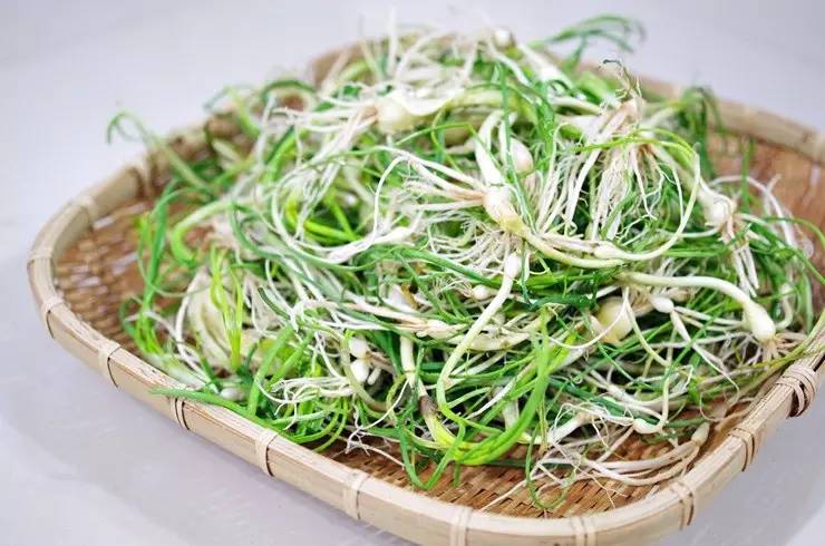 常见野菜吃法做法大全,常见野菜种类吃法