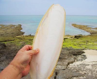 怎么消除牙黄牙垢,教你5分钟消除牙垢太实用了