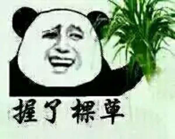 人生中第一辆车凯美瑞和雅阁 (自己的第一辆车凯美瑞)