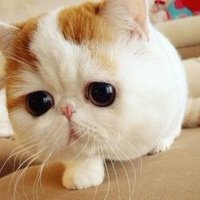 开银行哪家好,五大银行vip客户待遇哪家最好