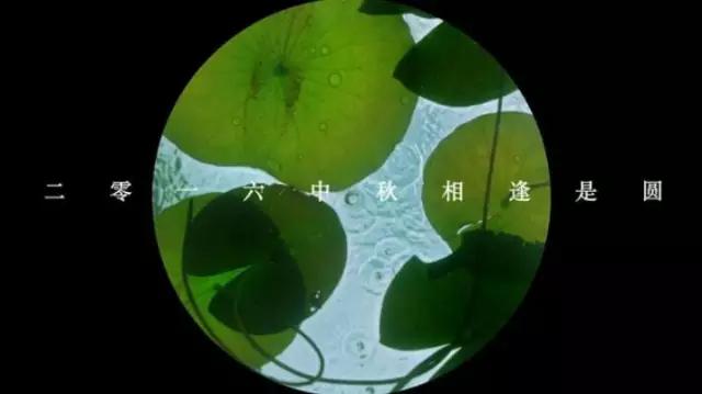 范冰冰潘金莲是替身吗,范冰冰演的潘金莲好吗