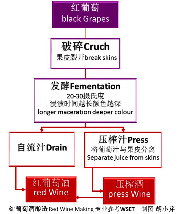 红酒酿造过程,红酒酿造过程视频