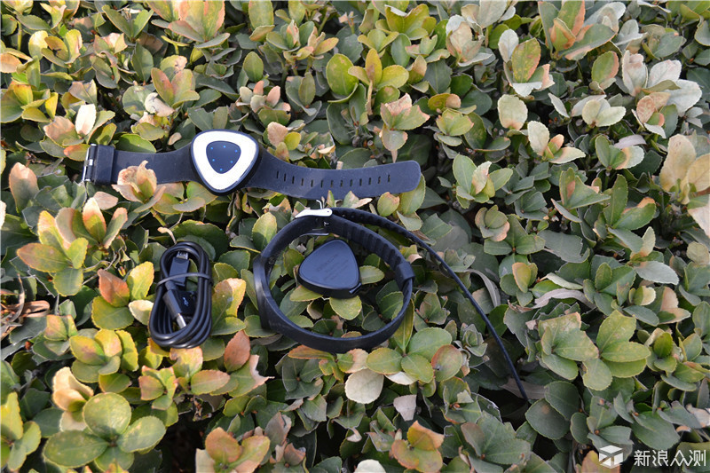 你的私人专属运动教练，wecoachpro手环体验