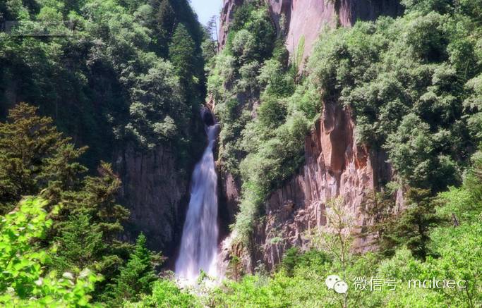 淘宝电商从开店到运营的步骤,淘宝电商怎么注册开店