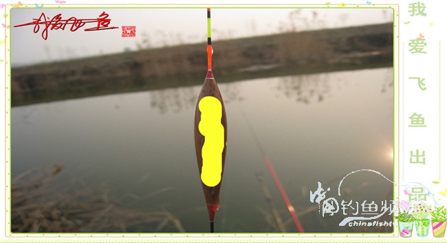 2016之我爱飞鱼觅得好钓点
