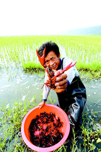 2023商机小生意,2021年投资新商机创业不容错过