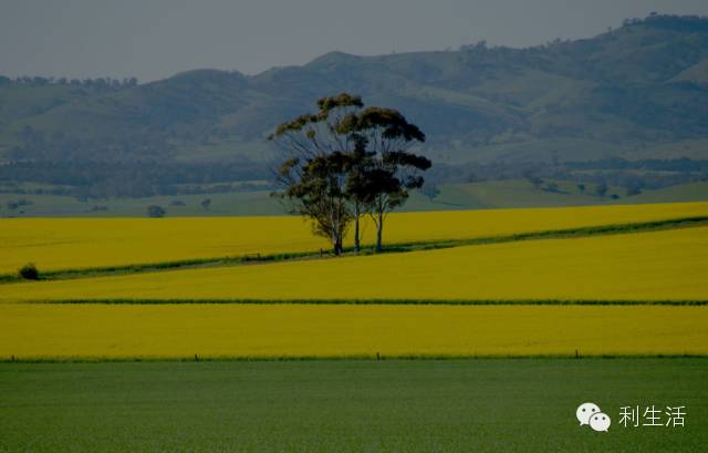 ppt技巧揭秘这些功能您会使用了吗,ppt附加文件