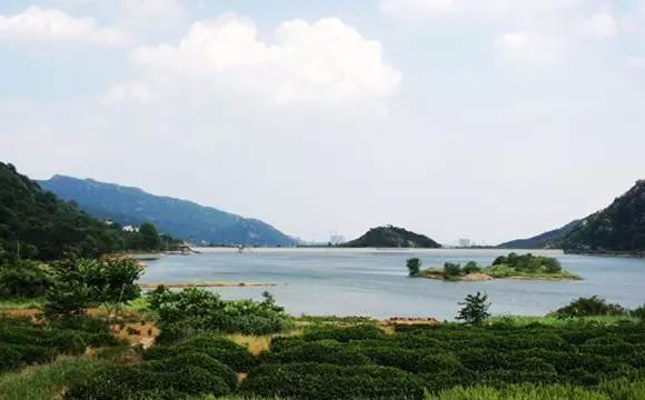 杩炰簯娓競鏃呮父鏅偣澶у叏,杩炰簯娓競鏃呮父骞村崱2021鏅偣