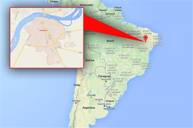 疯狂造蚊，是英国对抗寨卡的方法