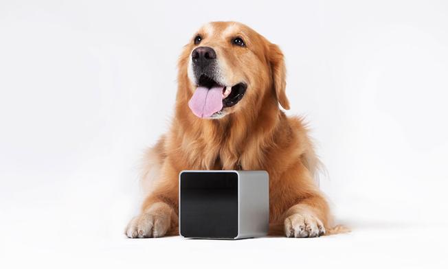 多功能驱狗神器,自动喂食器喊话