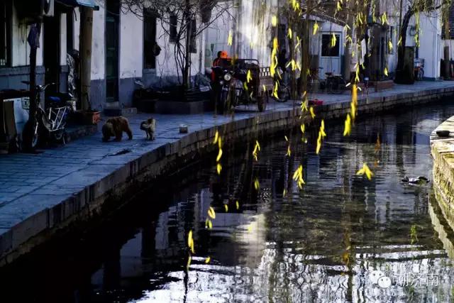 济南可以免费烧烤的景点,山东济南景点打卡地点推荐