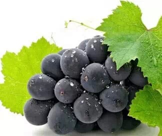 喝醉酒后难受怎么安慰,怎么照顾喝白酒喝醉了的人