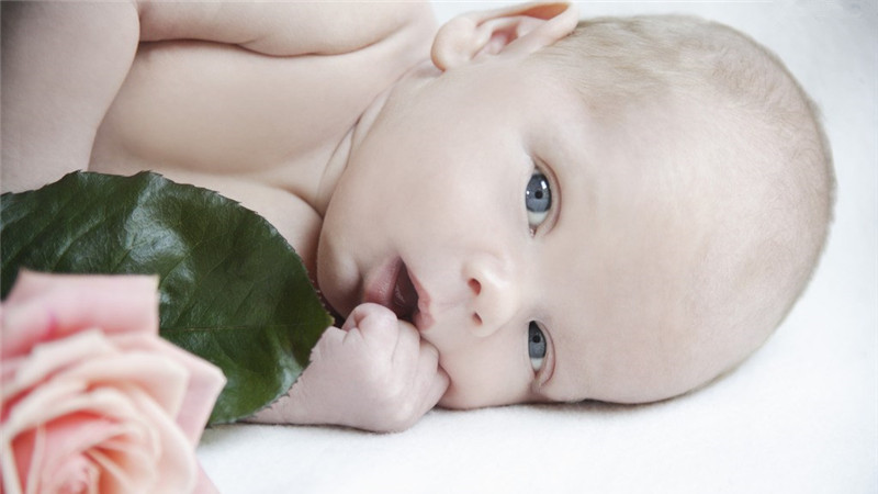 婴儿水育早教加盟品牌排行榜,亲子早教品牌加盟