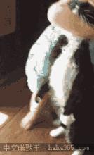 送你一枚利器,专治各种“熊孩子”不耐受症