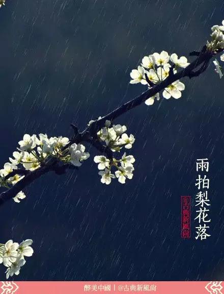 惊蛰二月节书法,惊蛰二月节古诗朗诵