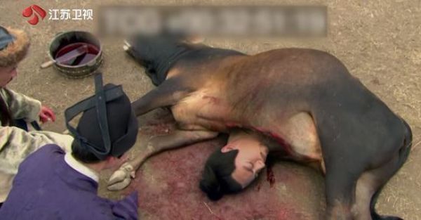 来自身边的“翔”，得知后你都可以做《女医》了！