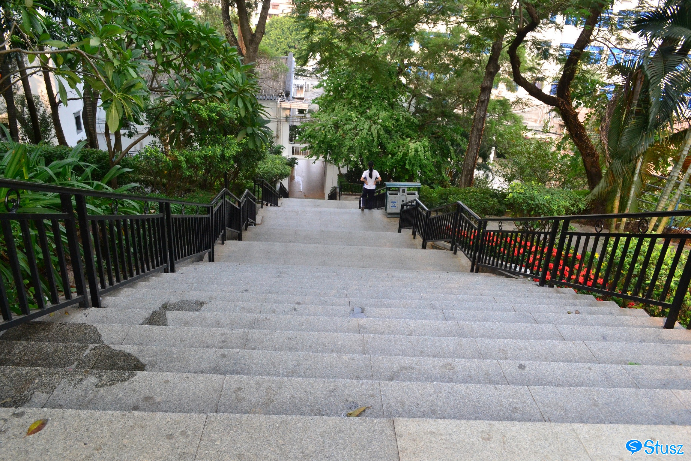 Stusz独家:观澜中学,现代化的百年老校