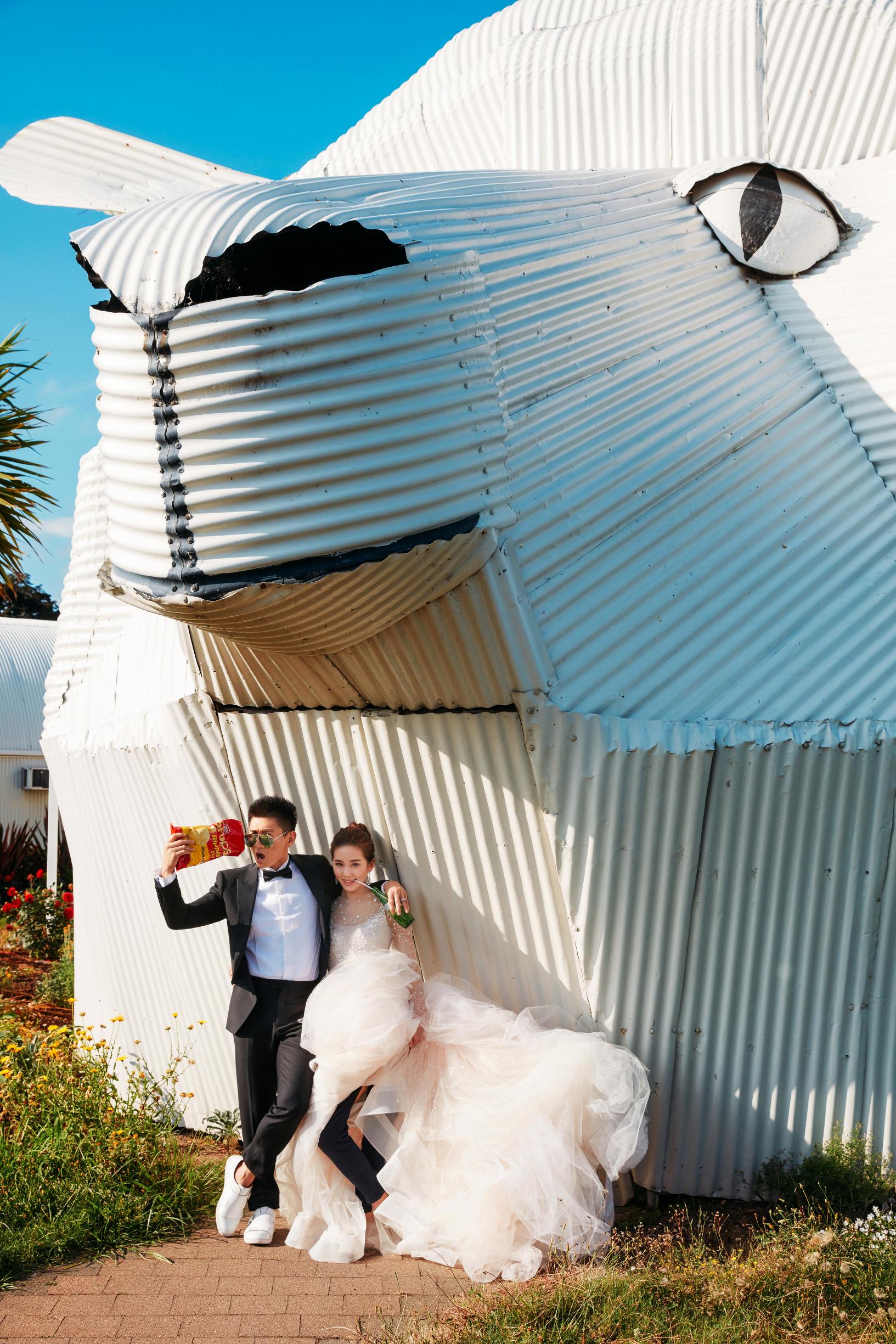 吴奇隆刘诗诗新西兰海钓高清大图,吴奇隆刘诗诗白衣服婚纱照