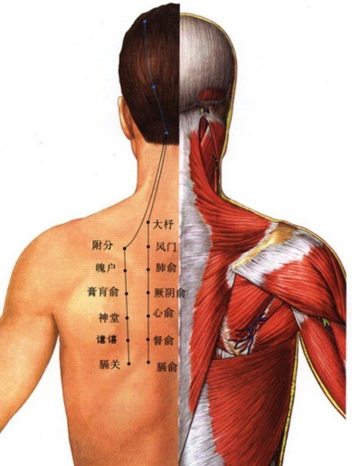 咳嗽老不好,赶快来瞅一瞅