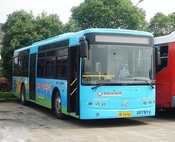 这个周末带孩子去玩,赏花春游好去处花博园