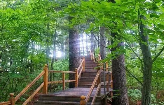 这个周末带孩子去玩,赏花春游好去处花博园