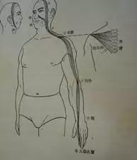 跟我学中医从哪里开始学,跟我学中医全集视频