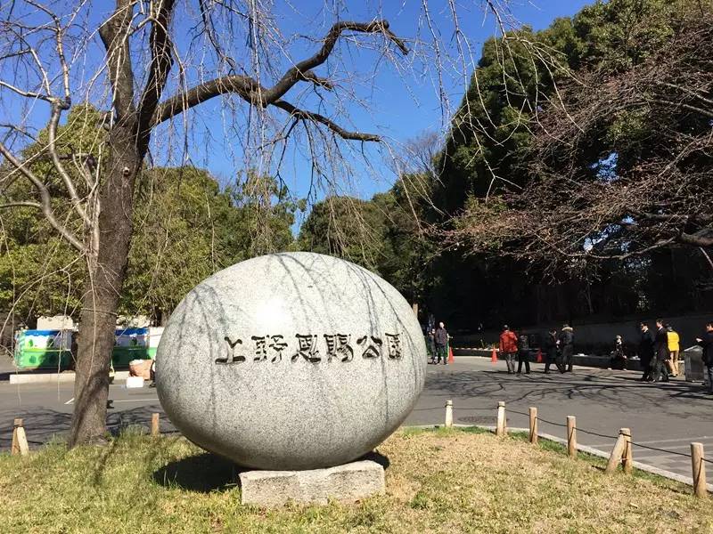 东京爱情故事日语,东京爱情故事有多少集