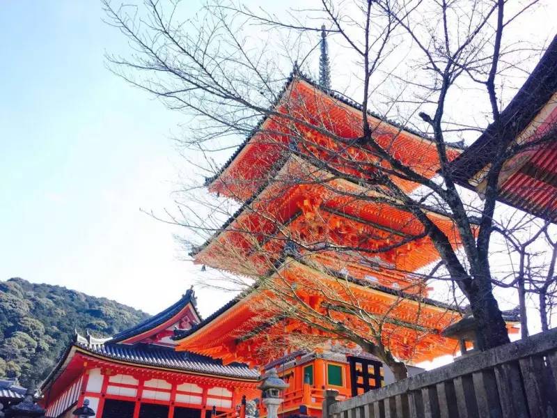 东京爱情故事日语,东京爱情故事有多少集