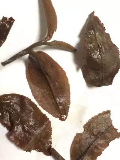 台湾茶叶不喷农药吗,台湾茶叶有造假吗