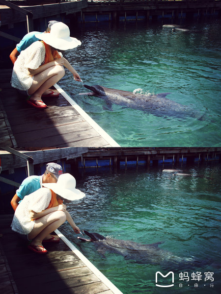 一起去三亚旅游就是最好的陪伴,三亚攻略自由行情侣