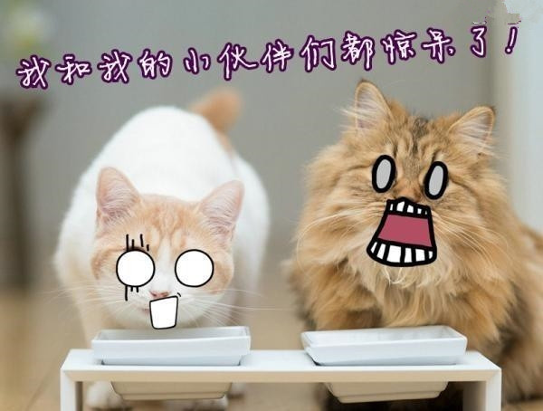 只不过因为在敏感季用了年前的化妆品,她再也不想去踏春了!