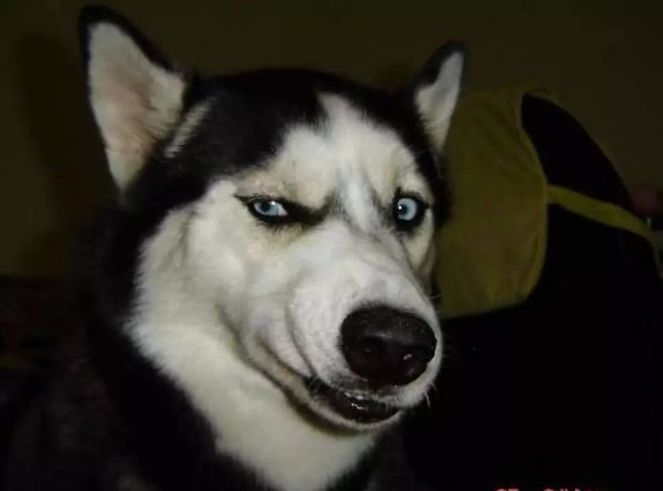 现代围棋阿尔法狗人机大战,围棋对战阿尔法狗