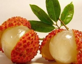 这几种食物不宜空腹吃,这几种食物不要给宝宝空腹吃