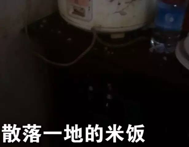 美团饿了吗发家史,美团饿了么网络崩溃