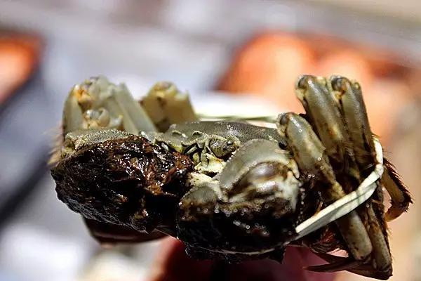 海纳百川海鲜团购,海纳百川海鲜店