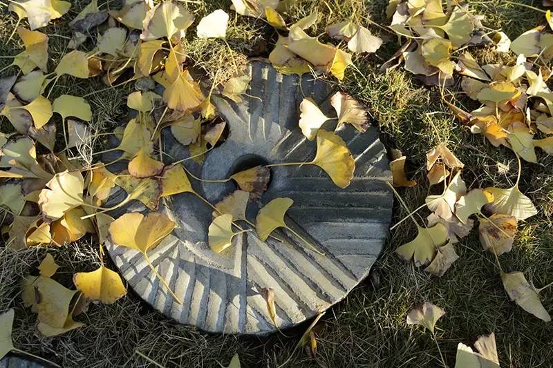 璞ぜ鏉ヨ,璞ぜ鏉ヨ鍏ㄥ煄鐙傛