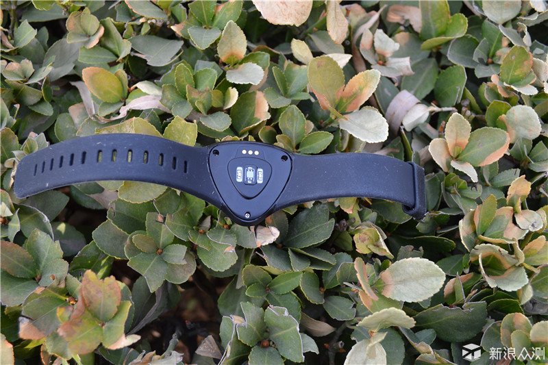 你的私人专属运动教练，wecoachpro手环体验