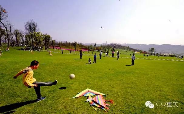 周末重庆去哪玩情侣,重庆亲子周末游玩攻略推荐