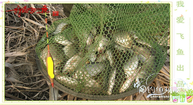 2016之我爱飞鱼觅得好钓点