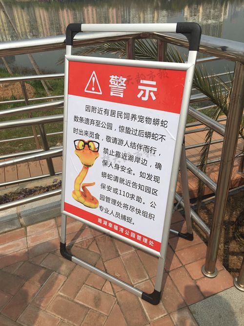 九祥岭湿地公园蛇出没,武汉森林公园蛇