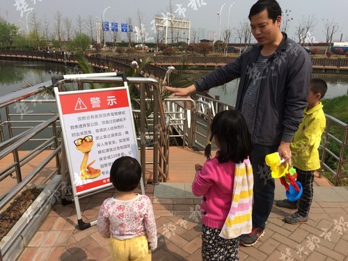 九祥岭湿地公园蛇出没,武汉森林公园蛇