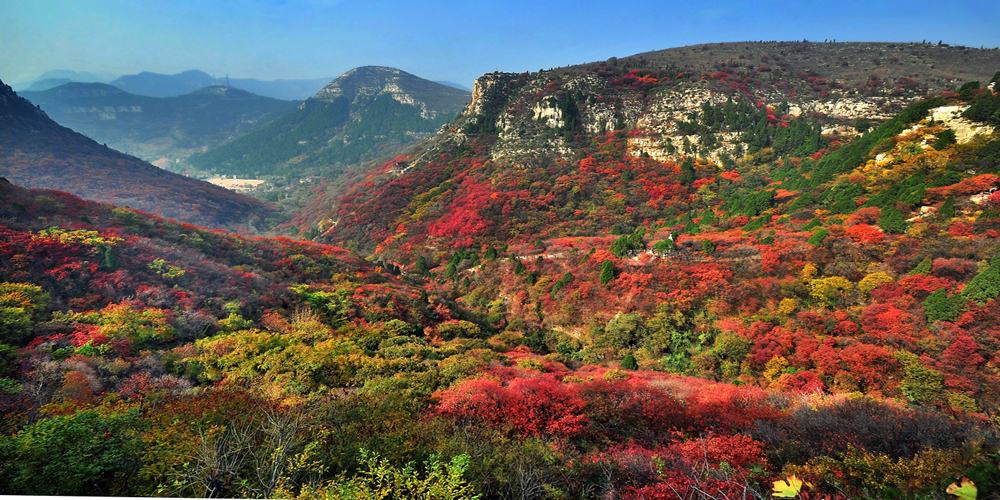 亲山近水享绿色福利,五彩鸢都创森林潍坊