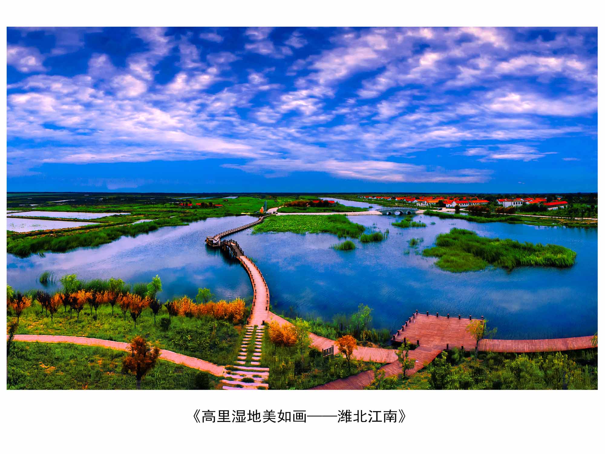 亲山近水享绿色福利,五彩鸢都创森林潍坊