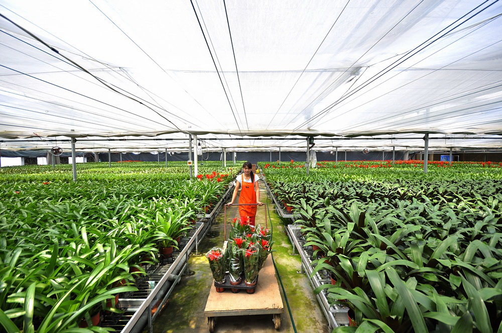 亲山近水享绿色福利,五彩鸢都创森林潍坊