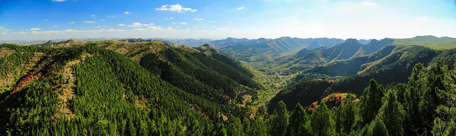 亲山近水享绿色福利,五彩鸢都创森林潍坊