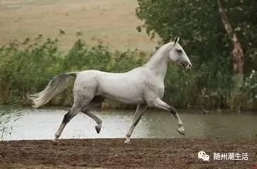 那些你不知道的原声,那些你不知道的精彩片段