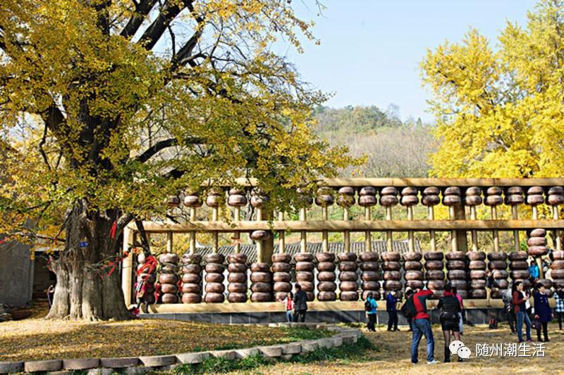 那些你不知道的原声,那些你不知道的精彩片段